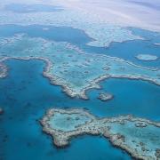 La Grande Barriera Corallina sta morendo: colpa del riscaldamento globale