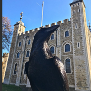 Un corvo della Torre di Londra scompare. Secondo la leggenda, la monarchia è in pericolo...