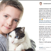 Due occhi di colore diverso, un micio e dei bulli. Una storia a lieto fine