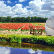 Vi piacerebbe  dormire nel parco di tulipani più grande al mondo?  Ora è possibile!