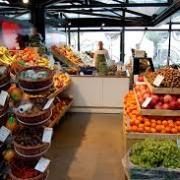SACCHETTI BIODEGRADABILI A PAGAMENTO? AUMENTANO SPESE E INQUINAMENTO