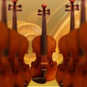 il 19 maggio è la Giornata Mondiale del Violino