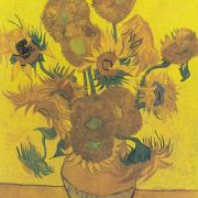 I Girasoli di Van Gogh … sbiaditi?