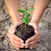 World Environment Day: perché il 5 giugno è la giornata dedicata all'ambiente?