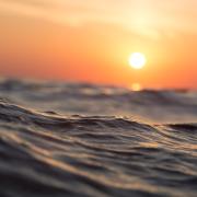 Giornata mondiale degli oceani: ecco 7 curiosità 
