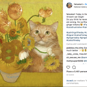 Guarda che gatto! Gli incredibili dipinti del progetto Fat Cat Art