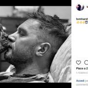 Tom Hardy su Instagram: un grande amante dei cani