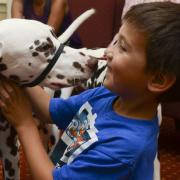LA SCIENZA CONFERMA: IL CANE IN CORSIA FA BENE AL PAZIENTE (E ALL'ANIMALE)