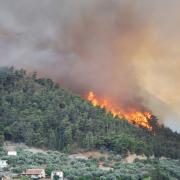 VITTIME E DANNI PER GLI INCENDI DOLOSI: MA CHI VUOLE DAR FUOCO ALLA GRECIA?