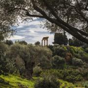 Festivalle al Giardino della Kolymbethra