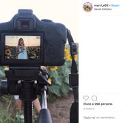 Un campo di girasoli distrutto... per un selfie!