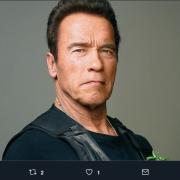 Arnold Schwarzenegger consola sul web un fan depresso