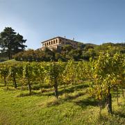 Sere FAI d'estate a Villa dei Vescovi