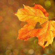 L'equinozio d'autunno non è il 21 settembre: ecco quando finisce l'estate.