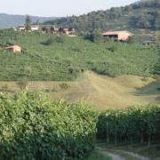 DAL TREKKING URBANO ALL'ENOTURISMO: ECCO I NOSTRI CONSIGLI PER IL WEEK-END