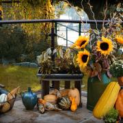 Halloween: quali sono i piatti tipici di questa festa nel mondo?