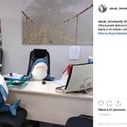 In Russia è mania squali… dell’Ikea!