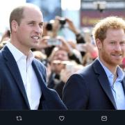 I principi William e Harry raccolgono rifiuti: «È perfettamente normale, lo fanno tutti»