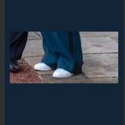 Emma Thompson infrange il protocollo di corte