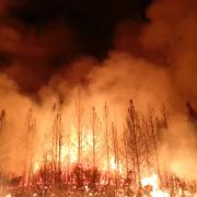 La California devastata dagli incendi: perché così tanti roghi?