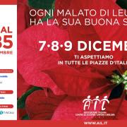 Stelle di Natale AIL