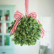 Perché a Natale ci si bacia sotto il vischio?