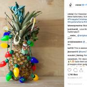 Altro che albero di Natale! Adesso si fa… l’ananas!