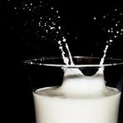 I pastori chiedono più dignità: perché il latte vien pagato poco?