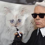 Karl Lagerfeld: l'eredità alla gatta Choupette?
