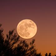 In arrivo l'ultima superluna del 2019!