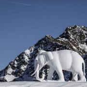 Storia, gusto e motori: ecco i consigli per il weekend.