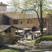 Fiori al Monastero di Torba