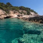Puglia o Maldive? L'incantevole barriera corallina scoperta nel nostro paese