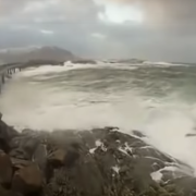 Guarda le spettacolari immagini dell'autostrada con vista sulle balene