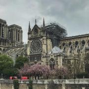 Macron: ‘La cattedrale sarà ricostruita in 5 anni’.