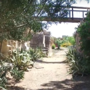 A Favignana un incredibile giardino sfida la natura: è il Giardino dell'Impossibile