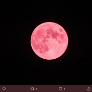 La Luna Fragola influenza anche i segni zodiacali. Ecco come