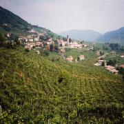 Il Prosecco è Patrimonio Mondiale dell'Umanità  