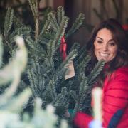 Kate Middleton sostituisce la Regina Elisabetta nella scelta degli alberi di Natale