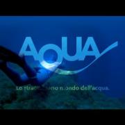 Aqua Film Festival