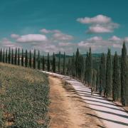 Scopri la Toscana ed il suo patrimonio verde