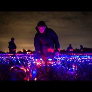 Arte e agricoltura: il video magico che fa riflettere
