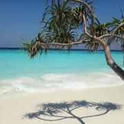 Si cerca un libraio, alle Maldive!