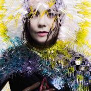 Sorprendente Björk: con la sua musica arriva il kit per chiamare gli uccelli