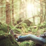 Vuoi ascoltare il rumore del bosco? Ecco la mappa online che ti permette di farlo
