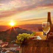 Cantine italiane: alla scoperta di quelle in cui arte e sapienza si fondono
 