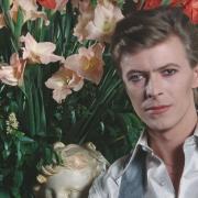 21 maggio 1983: “Let’s Dance” in cima alle classifiche 
