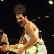 Freddie Mercury: i suoi beni messi all'asta frutteranno oltre 6 milioni di sterline