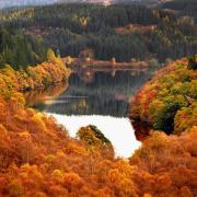 Foliage: ecco i luoghi più belli per ammirarlo