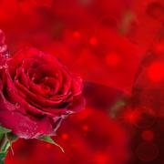 San Valentino Love Songs: le più belle canzoni d'amore sono su Radio Monte Carlo